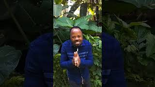 YESU ANAKUITA Yohana 14:6[6]Yesu akamwambia, Mimi ndimi njia, na kweli, na uzima