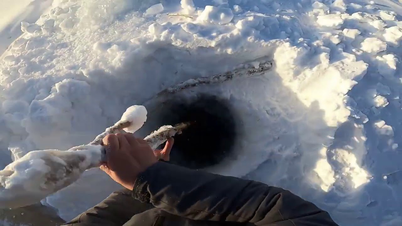 Налим Никодим. 22.02.2021 #67 Туруханский район