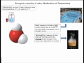 Water Properties and Molecular Interactions