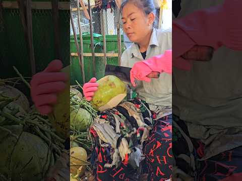 A mother who cuts coconut fruit at an amazing speed!