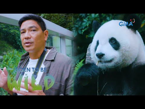 Doc Nielsen Donato meets the residents of Taipei Zoo | Born to be Wild ...