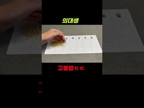 고등학생과 의대생 공부량 차이
