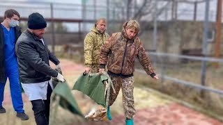 видео