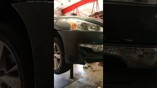 Shane gillis can you guess what race owns this