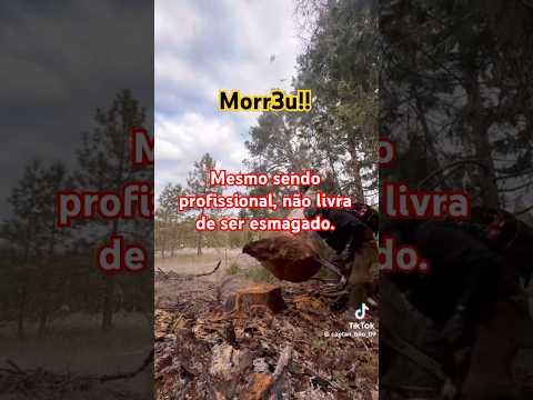 Se você não é profissional, veja este vídeo antes de cortar árvore com motosserra #shorts