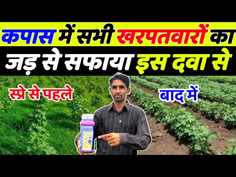 कपास के सारे खरपतवार होंगे साफ़ एक  स्प्रे में | Kapas ki kheti | kapas me Kharpatwar nashak dawa