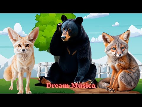 Happy Animal Moments: Bear, Fennec Fox, Fox, Polar Bear - Animal Videos