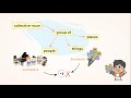 Collective Nouns and Their Usage