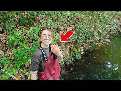 絶滅危惧種にもなっていて限られた場所で生きるとても貴重な水生昆虫採集が過酷すぎた＃ガサガサ