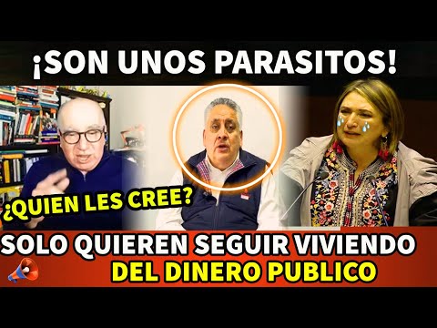 ¡SON UNOS PARASITOS! ANGEL VERDUGO ACABA CON LA CANDIDATA DEL PRIAN