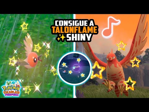 ✅Como conseguir a TALONFLAME ✨SHINY✨ fácil y rápido en ✅Pokémon escarlata y purpura