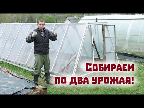 Жалеем ли мы, что поменяли поликарбонат на пленку на теплице