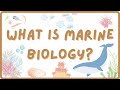 Marine Biology Concepts and Impacts