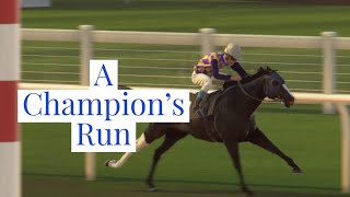 Champion Blackberry: A Champion's Run (Rival Stars Horse Racing)