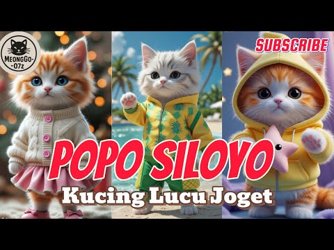 Popo Siloyo Versi Kucing: Lucu Banget! @MeongGoO7z