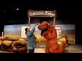 Paleontology and Dinosaur Studies
