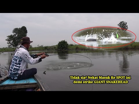 MENYUSURI SPOT DI HUTAN PEDALAM RIAU || MENCARI SPOT CASTING YANG TIDAK TERJAMAN PEMANCING