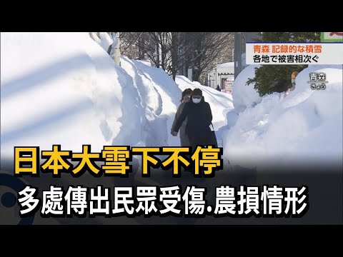 日本大雪下不停　多處傳出民眾受傷.農損情形－民視新聞