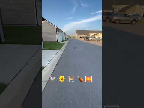 Emoji Speedrun 🐓🌼🐈🍗🌅