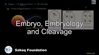 Embryo, Embryology and Cleavage