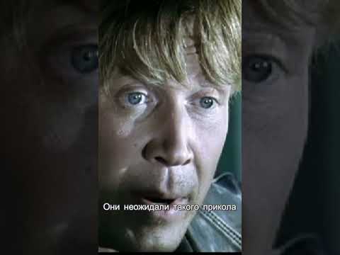 Принес не то что надо #shorts