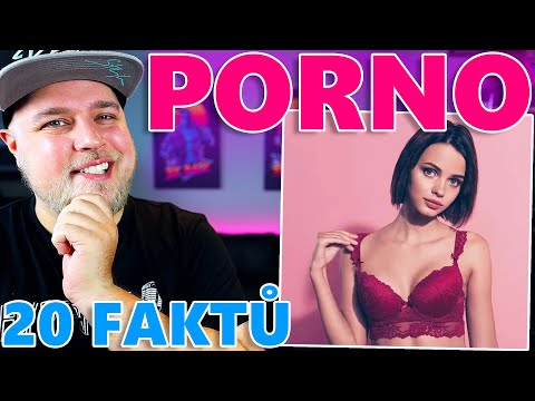 20 FAKTŮ O PORNU