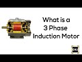 Three-Phase Induction Motor Concepts