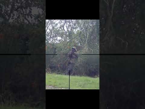 Sniper EPIC FAIL #airsoft #shorts