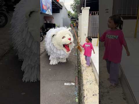 Can macanan jangan Gigit Alika, dia punya sapu ajaib
