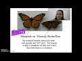 Mimicry and Camouflage in Nature