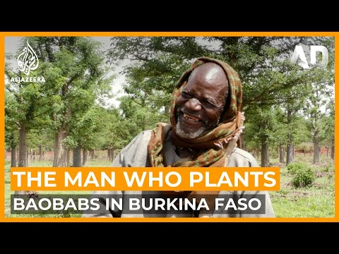 YouTube video thumbnail: The Man Who Plants Baobabs: A Burkina Faso Hero