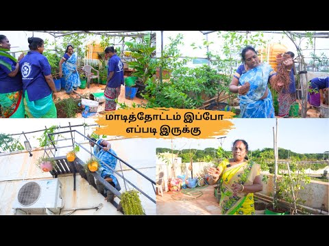 🌾மாடித்தோட்டத்தை 🧑‍🌾மாத்தப்போறோம் அதுக்கான 1ST STEP START பண்ணிட்டோம்❤️ |TERRACE GARDEN WORK STARTED