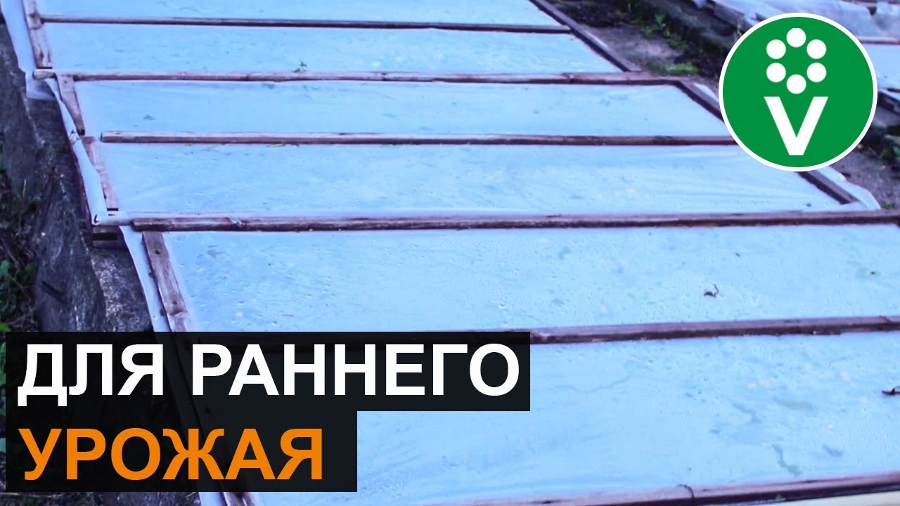 Чудо-грядка: меньше работы, больше урожая!