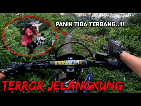 🔴TRABAS HORROR‼️DIHADANG JELANGKUNG TERBANG PANIK SAMPE KETAKUTAN | SANDEKALA DI HUTAN