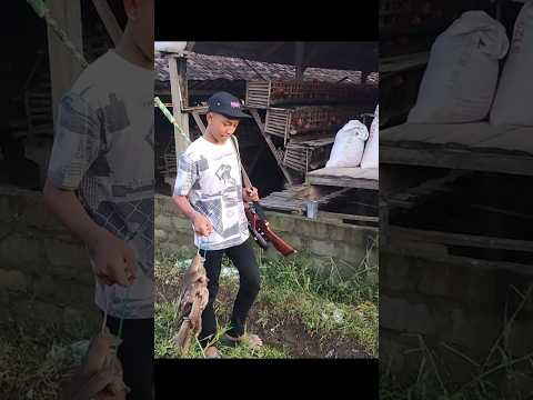 CARA AMPUH MENGURANGI HAMA TIKUS #shorts