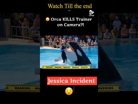Viral Orca Video Was FAKE! 🐋🚫 !هل تصدق ان فيديو اوركا مزيفاً