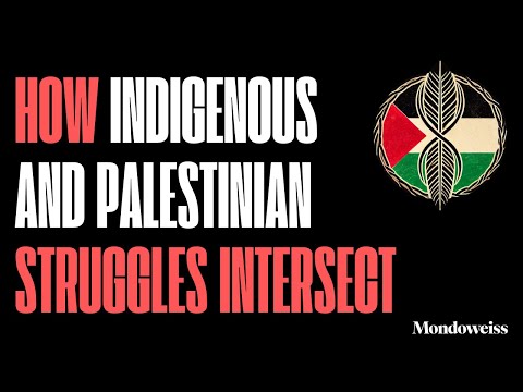 Intersecting Struggles: Indigenous Resistance and Palestinian Liberation with Nick Estes