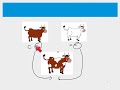 Understanding Codominance in Genetics