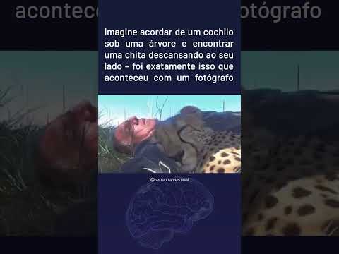 Ele Dormiu na Savana e Acordou Com Uma Chita ao Lado!
