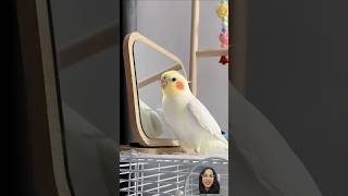 Parrot that imitates sounds #shorts