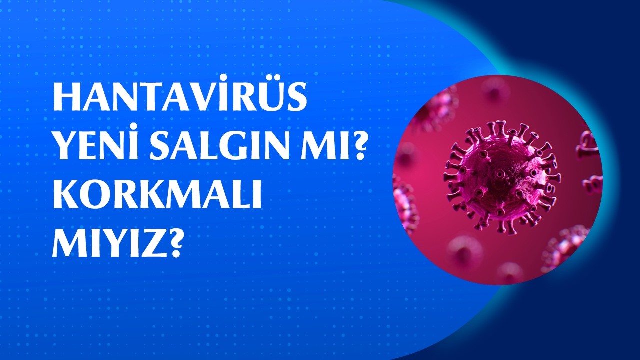 Tüm Dünyayı Endişelendiren Hantavirüs Nedir? Nasıl Bulaşır? Korunma Yolları Nelerdir?