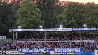 SV Meppen vs TSV Havelse