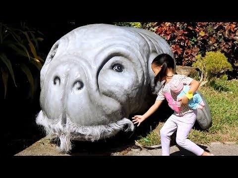 Animals in Davao - Donna The Explorer