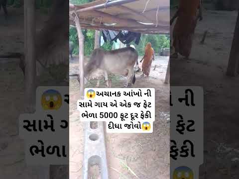 เชเชพเชฏ เชเช เชซเซเช เชญเซเชณเชพ 5000 เชฆเซเชฐ เชซเซเชเซ เชฆเซเชงเชพ เชเซเชตเซ #trading #shortvideos #viralvideos