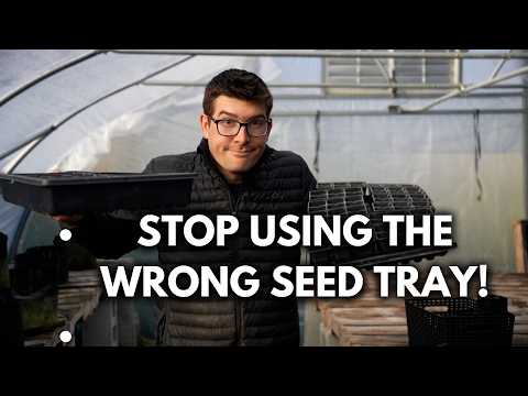 Shallow Vs. Deep Seed Starting Trays - Which is BEST?