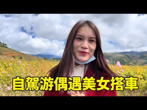 自駕游偶遇美女搭車，殺雞做臘肉熱情款待，從小和爺爺奶奶相依為命【王一點】