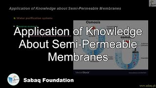 Application of Knowledge About Semi-Permeable Membranes