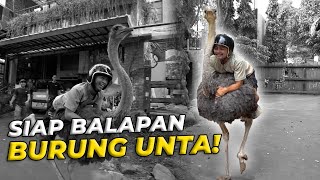 NEKAT BANGET!! PERTAMA KALI NAIK BURUNG UNTA..!