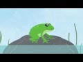 Frog Life Cycle and Habitats