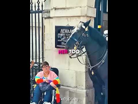 The Kindest Royal Horse ❤️🐴 #shorts
